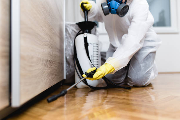 Best Exterminator Services  in Maeser, UT