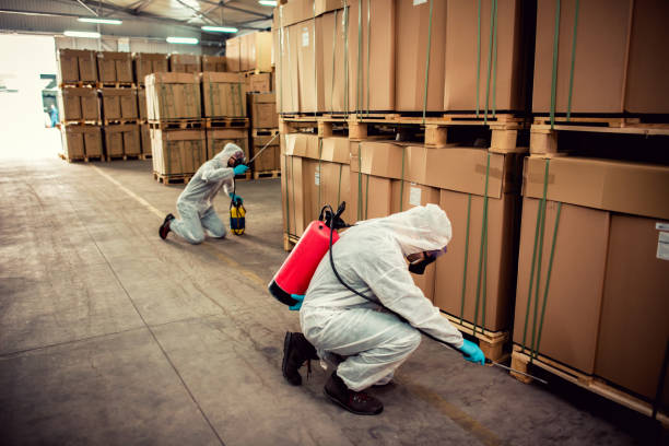 Best Insect Control  in Maeser, UT