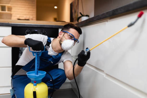 Best Affordable Pest Control Services  in Maeser, UT