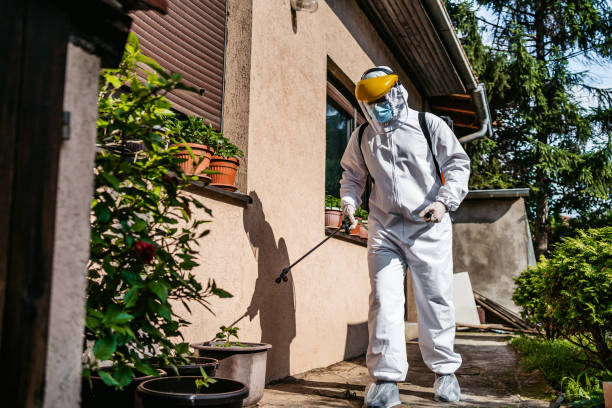 Best Affordable Pest Control Services  in Maeser, UT