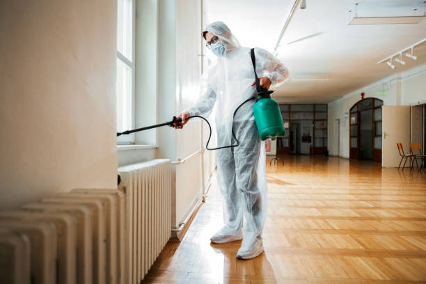Best Wasp Removal Services  in Maeser, UT