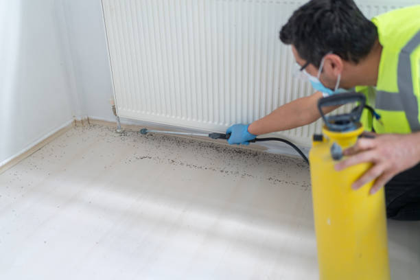 Best Best Pest Control Companies  in Maeser, UT