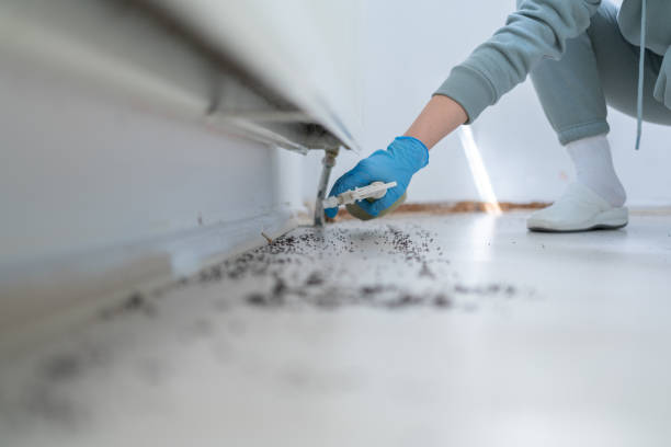 Reliable Maeser, UT Pest Control Solutions