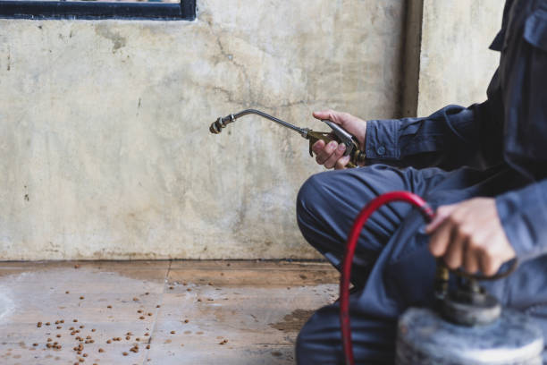 Best Termite Control Services  in Maeser, UT